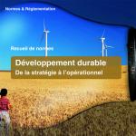 D&eacute;veloppement durable - De la strat&eacute;gie &agrave; l'op&eacute;rationnel