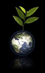 E 07 - Proc&eacute;dures environnement
