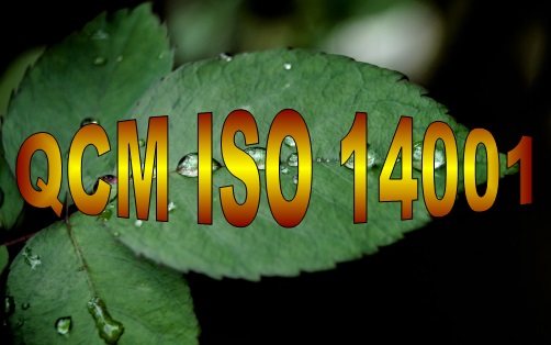 E 17 QCM quiz et études de cas formation ISO 14001 système de management environnemental