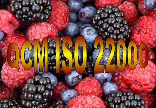 E 20 QCM, quiz et études de cas formation ISO 22000