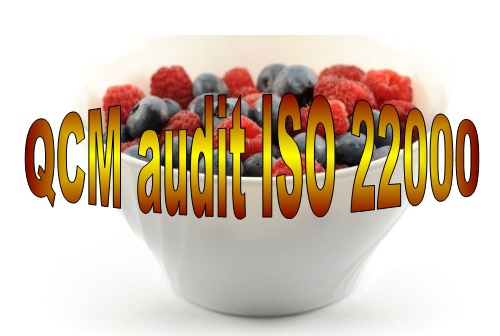 E 40 QCM formation audit interne ISO 22000