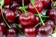 E 80v18 - Lot ISO 22000 systme de management scurit des denres alimentaires 2018 - Ensemble de documents