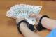 E 45v16 - Audit interne ISO 37001 management anticorruption version 2016 - Ensemble de documents