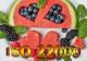 E 06v18 - Proc�dures instructions s�curit� des denr�es alimentaires ISO 22000 2018 - Ensemble de documents