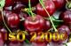 E 80v18 - Lot ISO 22000 syst�me de management s�curit� des denr�es alimentaires 2018 - Ensemble de documents