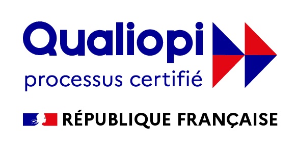 F 15v15 - Formation en ligne - Prparation  l'ISO 9001 systme de management qualit version 2015