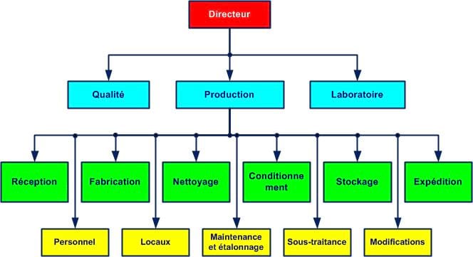 organigramme